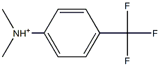 N,N-Dimethyl-4-(trifluoromethyl)anilinium Struktur