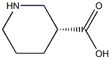 (R)-Piperidine-3-carboxylic acid Struktur