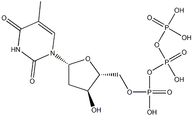 Thymidine triphosphate Struktur