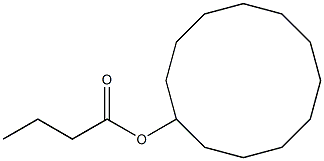 CYCLODODECYL BUTYRATE Struktur