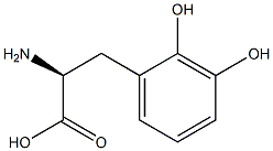 2,3-Dihydroxyphenylalanine Struktur