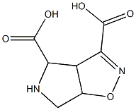 3a,5,6,6a-tetrahydro-4H-pyrrolo(3,4-d)isoxazole-3,4-dicarboxylic acid Struktur