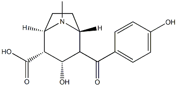 4-hydroxybenzoylecgonine Struktur