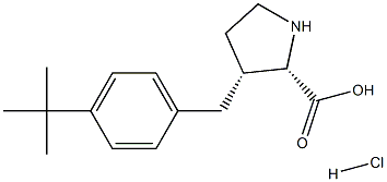 (R)-gamma-(4-tert-butyl-benzyl)-L-proline hydrochloride Struktur