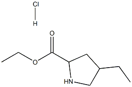 Ethyl 4-ethyl-2-pyrrolidinecarboxylate HCl Struktur