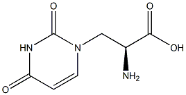 (RS)-WILLARDIINE Struktur