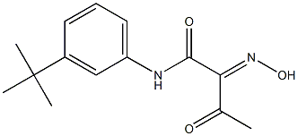 N-(3-TERT-BUTYL-PHENYL)-2-HYDROXYIMINO-3-OXO-BUTYRAMIDE Struktur