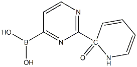 2-(1H-PYRIDIN-2-ONE)PYRIMIDINE-4-BORONIC ACID Struktur