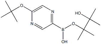 5-(TERT-BUTOXY)PYRAZINE-2-BORONIC ACID PINACOL ESTER Struktur