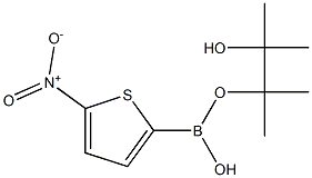 5-NITROTHIOPHENE-2-BORONIC ACID PINACOL ESTER Struktur