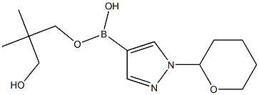 1-(Tetrahydropyran-2-yl)-1H-pyrazole-4-boronic acid neopentyl glycol ester Struktur