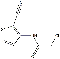 N1-(2-cyano-3-thienyl)-2-chloroacetamide Struktur