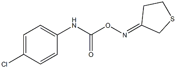 3-({[(4-chloroanilino)carbonyl]oxy}imino)tetrahydrothiophene Struktur