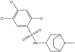 N1-(8-methyl-8-azabicyclo[3.2.1]oct-3-yl)-2,4,5-trichlorobenzene-1-sulfonamide Struktur