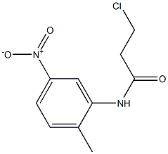 3-chloro-N-(2-methyl-5-nitrophenyl)propanamide Struktur