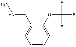 1-(2-(trifluoromethoxy)benzyl)hydrazine Struktur