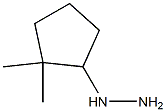 1-(2,2-dimethylcyclopentyl)hydrazine Struktur