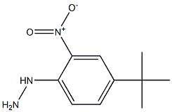 1-(4-tert-butyl-2-nitrophenyl)hydrazine Struktur