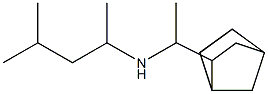 (1-{bicyclo[2.2.1]heptan-2-yl}ethyl)(4-methylpentan-2-yl)amine Struktur