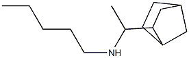 (1-{bicyclo[2.2.1]heptan-2-yl}ethyl)(pentyl)amine Struktur