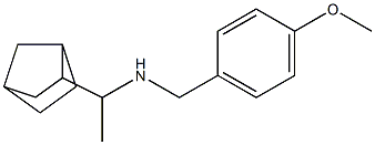 (1-{bicyclo[2.2.1]heptan-2-yl}ethyl)[(4-methoxyphenyl)methyl]amine Struktur