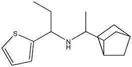 (1-{bicyclo[2.2.1]heptan-2-yl}ethyl)[1-(thiophen-2-yl)propyl]amine Struktur