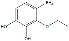 (2-ethoxyphenyl)boranediol Struktur