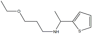 (3-ethoxypropyl)[1-(thiophen-2-yl)ethyl]amine Struktur