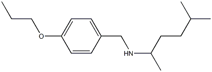 (5-methylhexan-2-yl)[(4-propoxyphenyl)methyl]amine Struktur