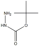 (tert-butoxy)carbohydrazide Struktur