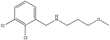 [(2,3-dichlorophenyl)methyl](3-methoxypropyl)amine Struktur