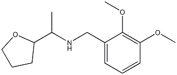 [(2,3-dimethoxyphenyl)methyl][1-(oxolan-2-yl)ethyl]amine Struktur