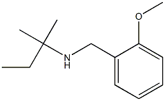 [(2-methoxyphenyl)methyl](2-methylbutan-2-yl)amine Struktur