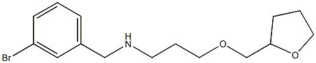 [(3-bromophenyl)methyl][3-(oxolan-2-ylmethoxy)propyl]amine Struktur