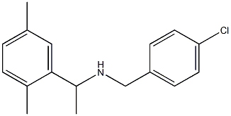 [(4-chlorophenyl)methyl][1-(2,5-dimethylphenyl)ethyl]amine Struktur