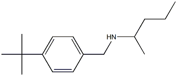 [(4-tert-butylphenyl)methyl](pentan-2-yl)amine Struktur