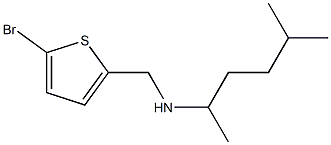 [(5-bromothiophen-2-yl)methyl](5-methylhexan-2-yl)amine Struktur