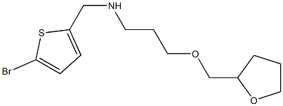 [(5-bromothiophen-2-yl)methyl][3-(oxolan-2-ylmethoxy)propyl]amine Struktur