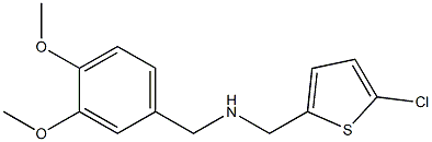 [(5-chlorothiophen-2-yl)methyl][(3,4-dimethoxyphenyl)methyl]amine Struktur