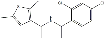 [1-(2,4-dichlorophenyl)ethyl][1-(2,5-dimethylthiophen-3-yl)ethyl]amine Struktur