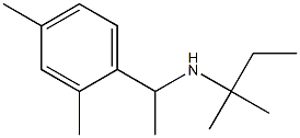 [1-(2,4-dimethylphenyl)ethyl](2-methylbutan-2-yl)amine Struktur