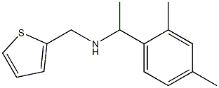 [1-(2,4-dimethylphenyl)ethyl](thiophen-2-ylmethyl)amine Struktur