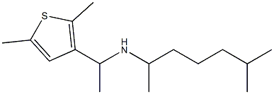 [1-(2,5-dimethylthiophen-3-yl)ethyl](6-methylheptan-2-yl)amine Struktur