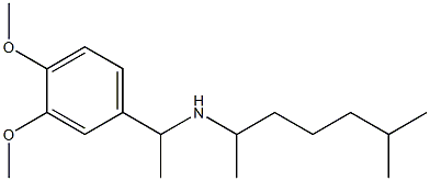 [1-(3,4-dimethoxyphenyl)ethyl](6-methylheptan-2-yl)amine Struktur