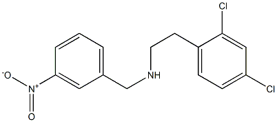 [2-(2,4-dichlorophenyl)ethyl][(3-nitrophenyl)methyl]amine Struktur