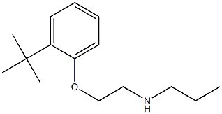 [2-(2-tert-butylphenoxy)ethyl](propyl)amine Struktur