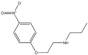 [2-(4-nitrophenoxy)ethyl](propyl)amine Struktur