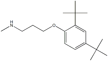 [3-(2,4-di-tert-butylphenoxy)propyl](methyl)amine Struktur