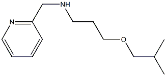 [3-(2-methylpropoxy)propyl](pyridin-2-ylmethyl)amine Struktur