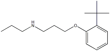 [3-(2-tert-butylphenoxy)propyl](propyl)amine Struktur